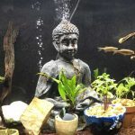 my-aquarium-buddha